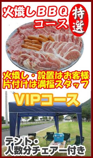 【Ｈ－35】火起し特選ＢＢＱＶＩＰプラン6名～7名（お一人様5400円）/