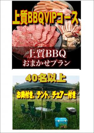 【ＳＮ－8】お任せ出張片付け上質BBQＶＩＰコース40名以上（お一人様3100円）/