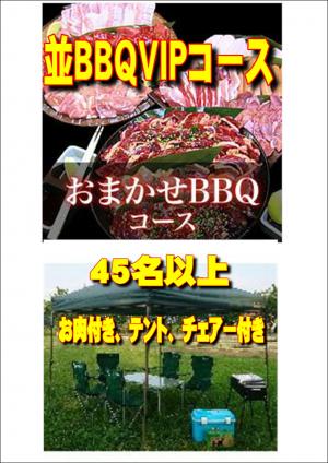 【ＳＮ－7】お任せ出張片付け並BBQＶＩＰコース45名以上（お一人様2490円）/