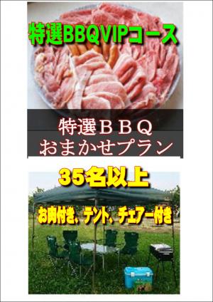 【ＳＮ－9】お任せ出張片付け特選BBQＶＩＰコース35名以上（お一人様3600円）/