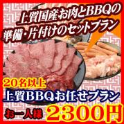 お任せ出張片付けBBQ上質コース20名以上(お一人様2300円)