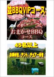 【SN-7】お任せ出張片付け並BBQVIPコース45名以上(お一人様2490円)