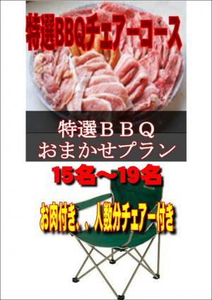 【Ｖ－26】お任せ出張片付け特選BBQチェアコース15名～19名（お一人様4450円）/