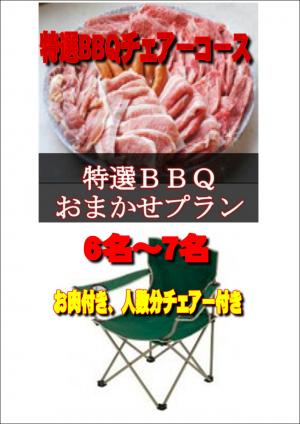 【Ｖ－23】お任せ出張片付け特選BBQチェアコース6名～7名（お一人様5050円）/