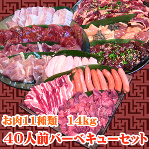 【Ｓ－６】４０人前バーベキューセット/
