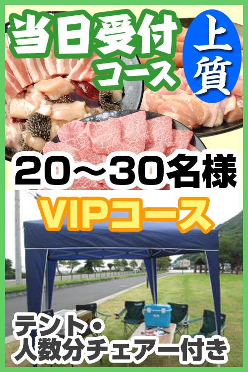 【281】地域限定当日受付コース（上VIPコース）　20名～30名（お一人様4340円）[当日対応５時間前受付]/