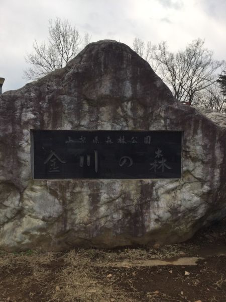 山梨県森林公園金川の森（笛吹市）８名様から